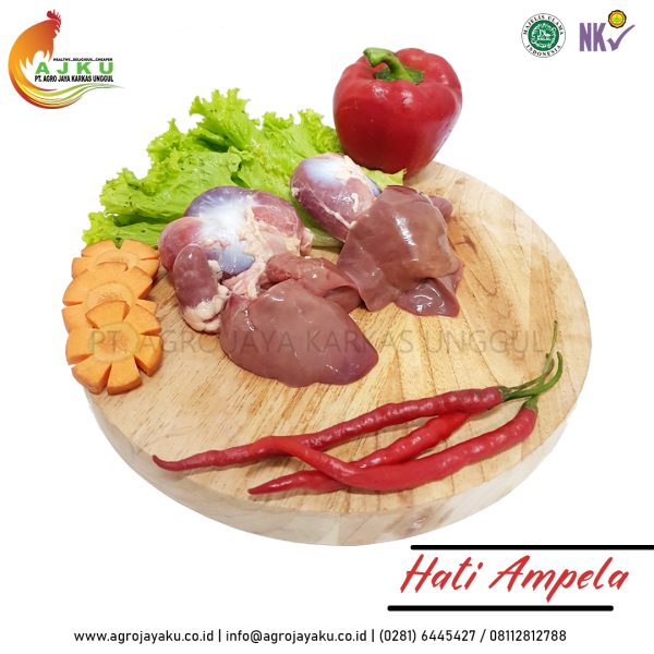 Hati Ampela PT Agro Jaya Karkas Unggul